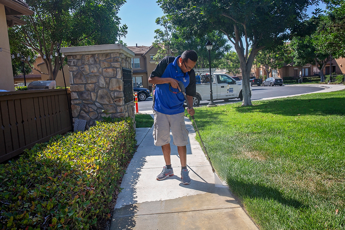 Window Cleaning & Pressure Washing Services | Squeegee Pro