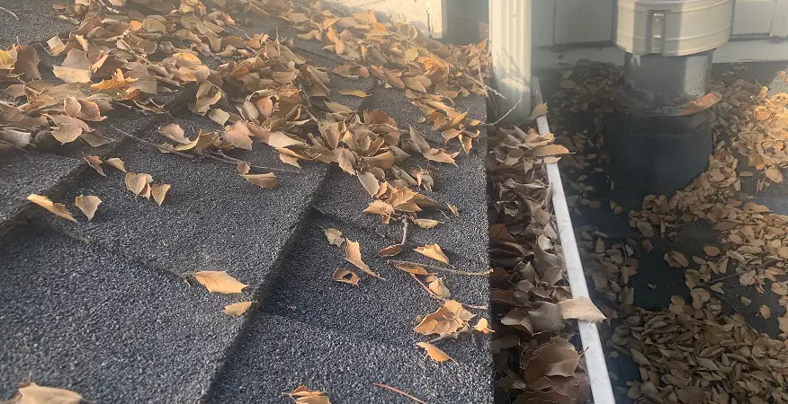 We Are Here To Help You images