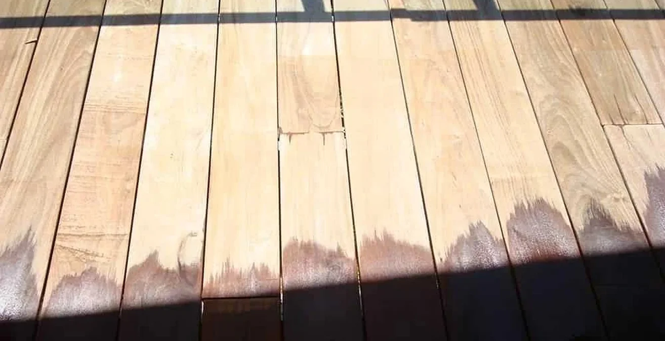 What-Causes-Mold-Growth_