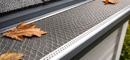 Mesh Guards