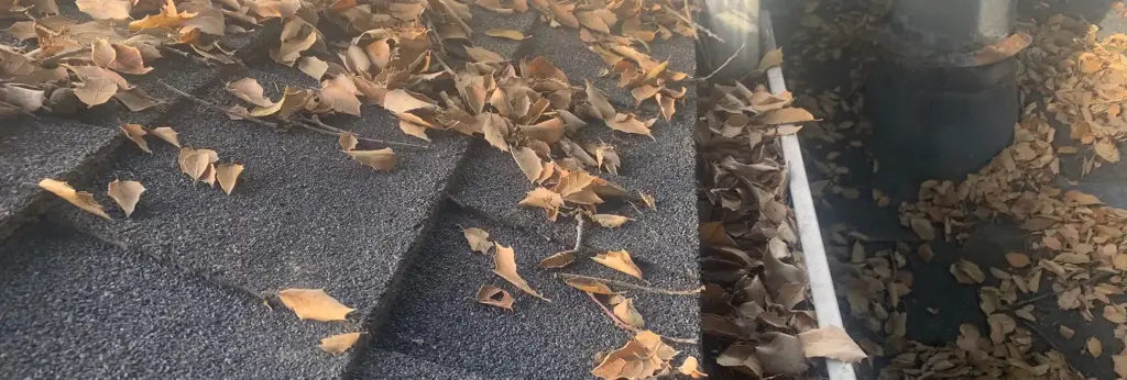 Commercial Gutter Cleaning with Squeegee Pro