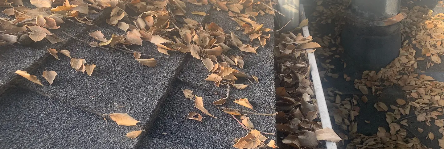 Commercial Gutter Cleaning with Squeegee Pro