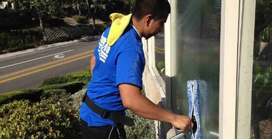windowcleanup