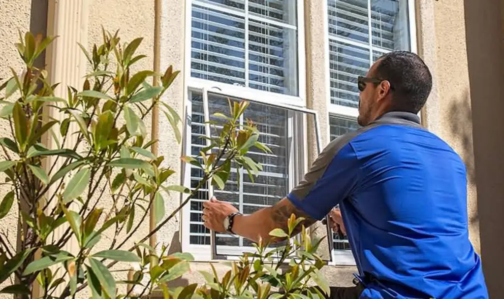 window washing